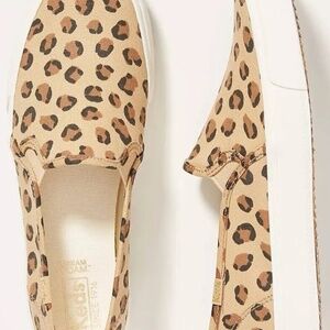 Nwb Keds Women's Leopard Slip-on Sneakers Canvas Dream Foam